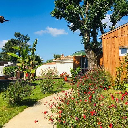 Les Petits Chalets De Kzo La Teste-de-Buch Ngoại thất bức ảnh