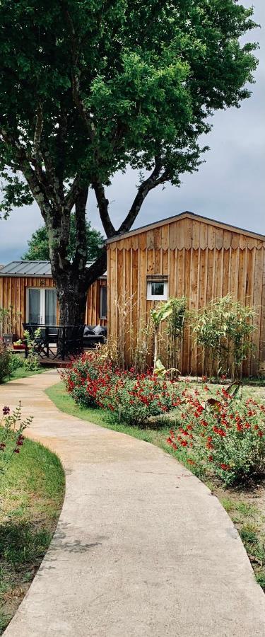 Les Petits Chalets De Kzo La Teste-de-Buch Ngoại thất bức ảnh